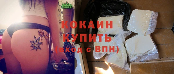 дурь Инта