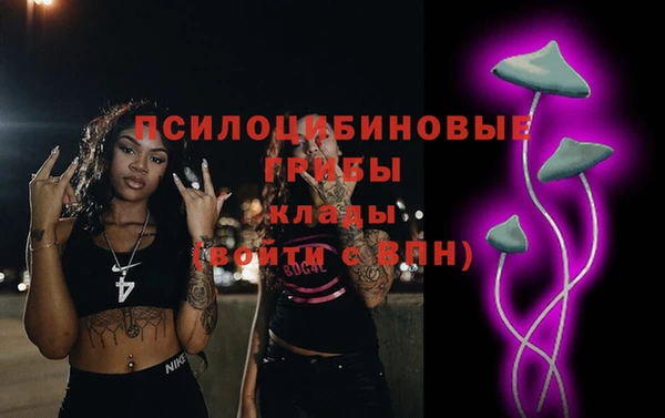 гидропоника Зеленодольск