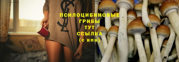 дурь Инта