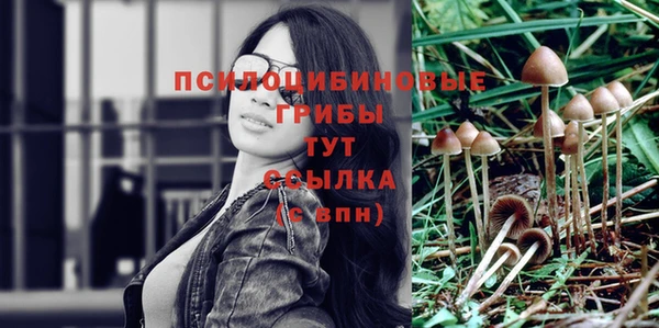спиды Зеленокумск