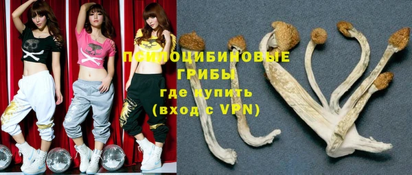 гидропоника Зеленодольск