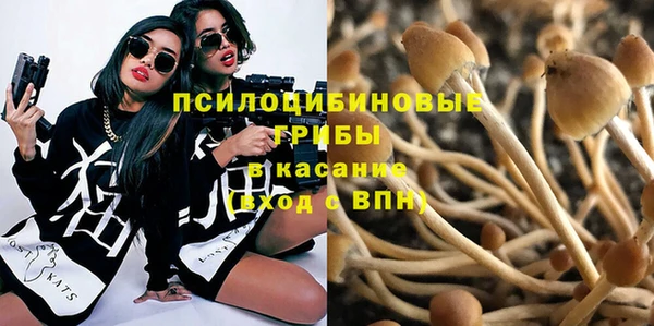 гидропоника Зеленодольск
