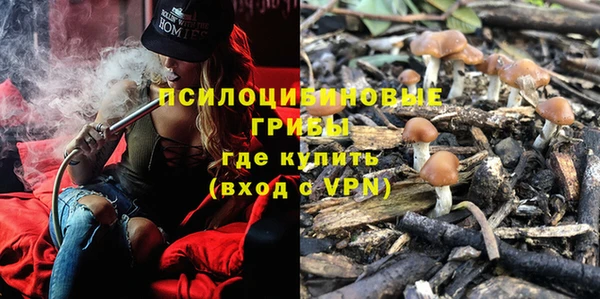 дурь Инта